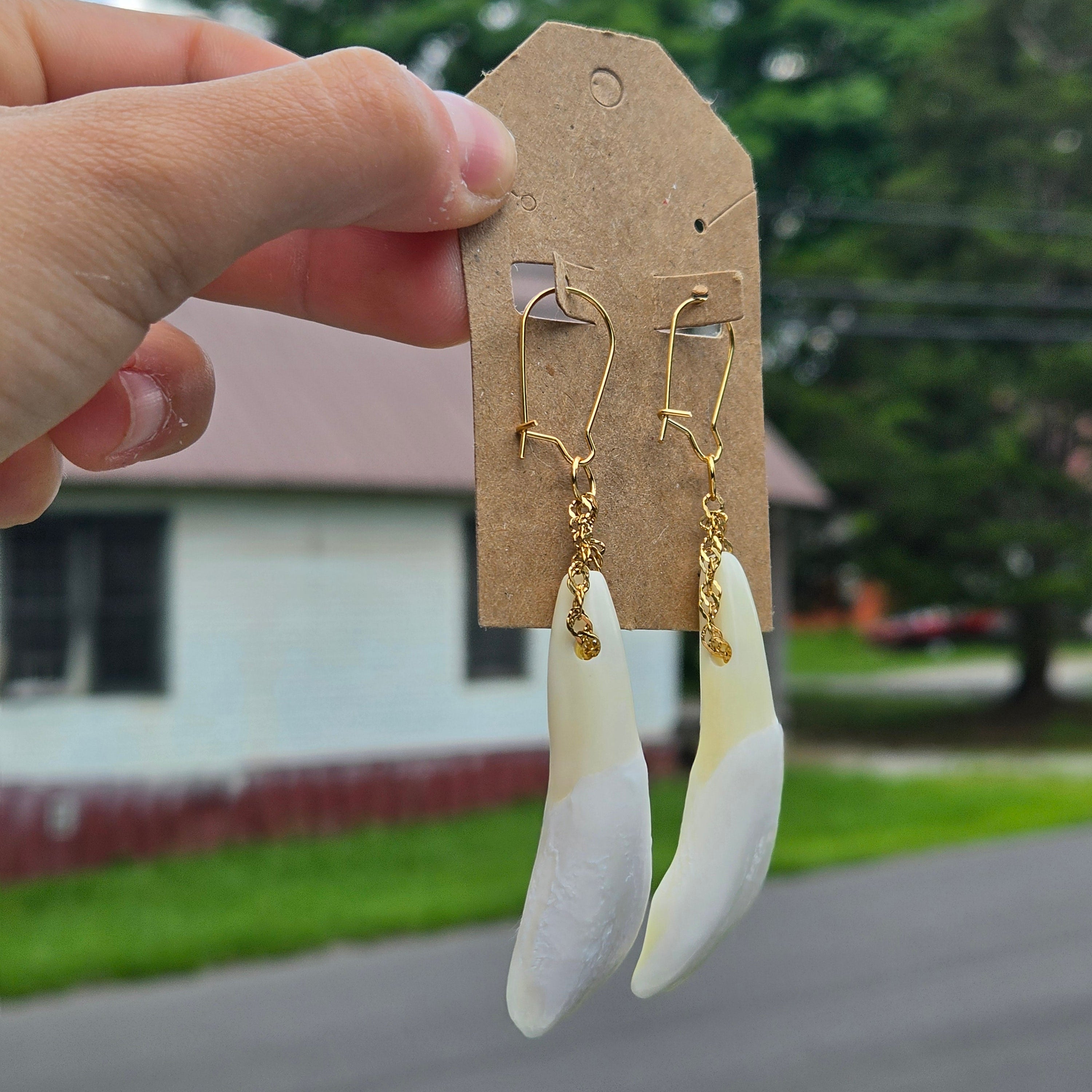 Buffalo Teeth Earrings