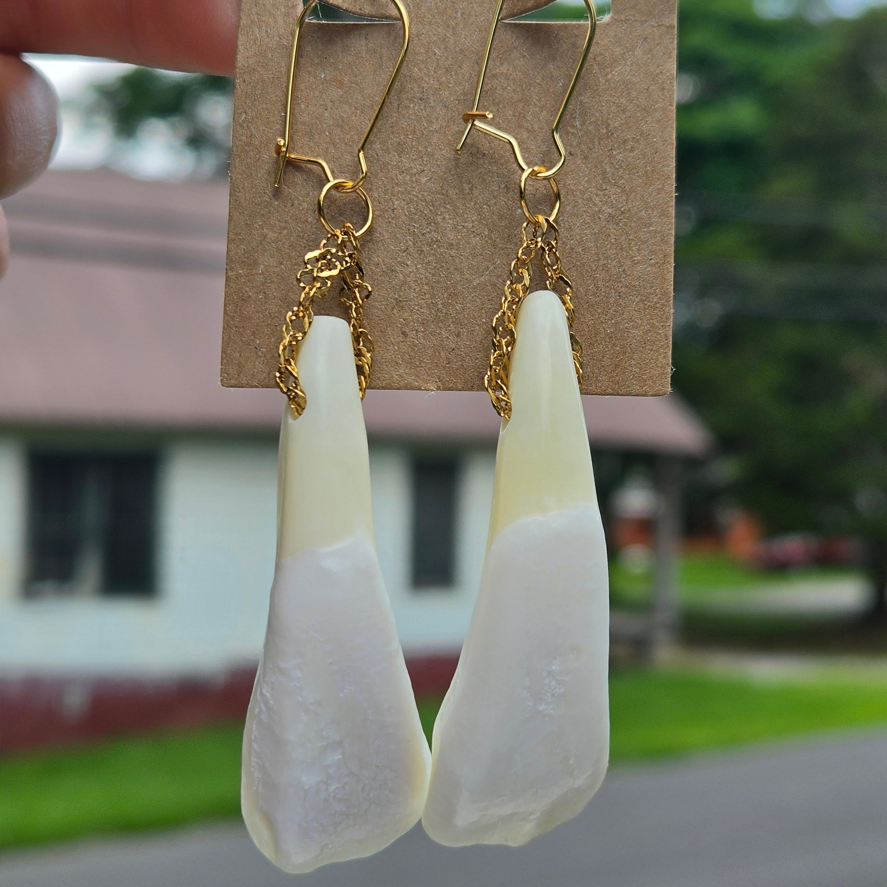 Buffalo Teeth Earrings