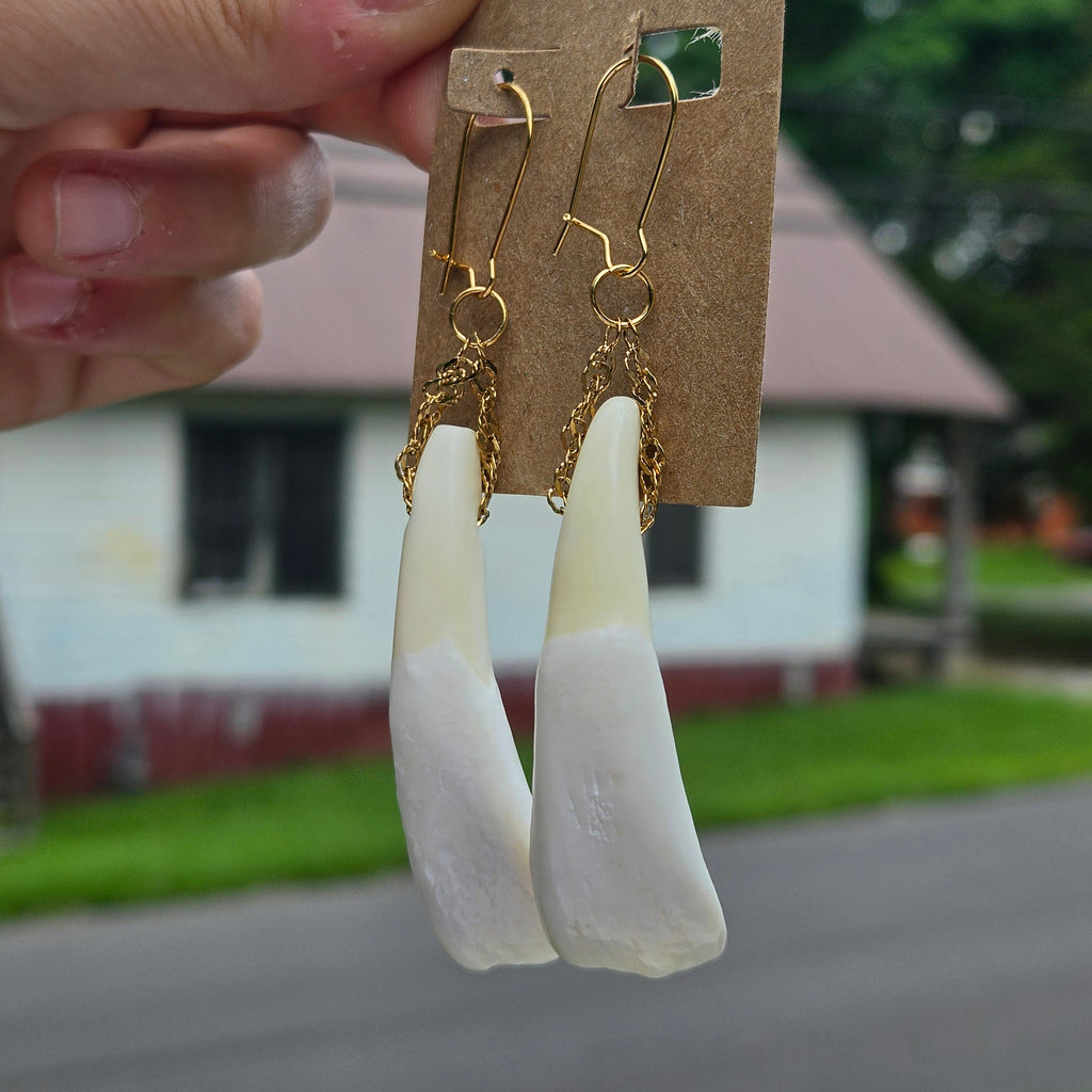 Buffalo Teeth Earrings