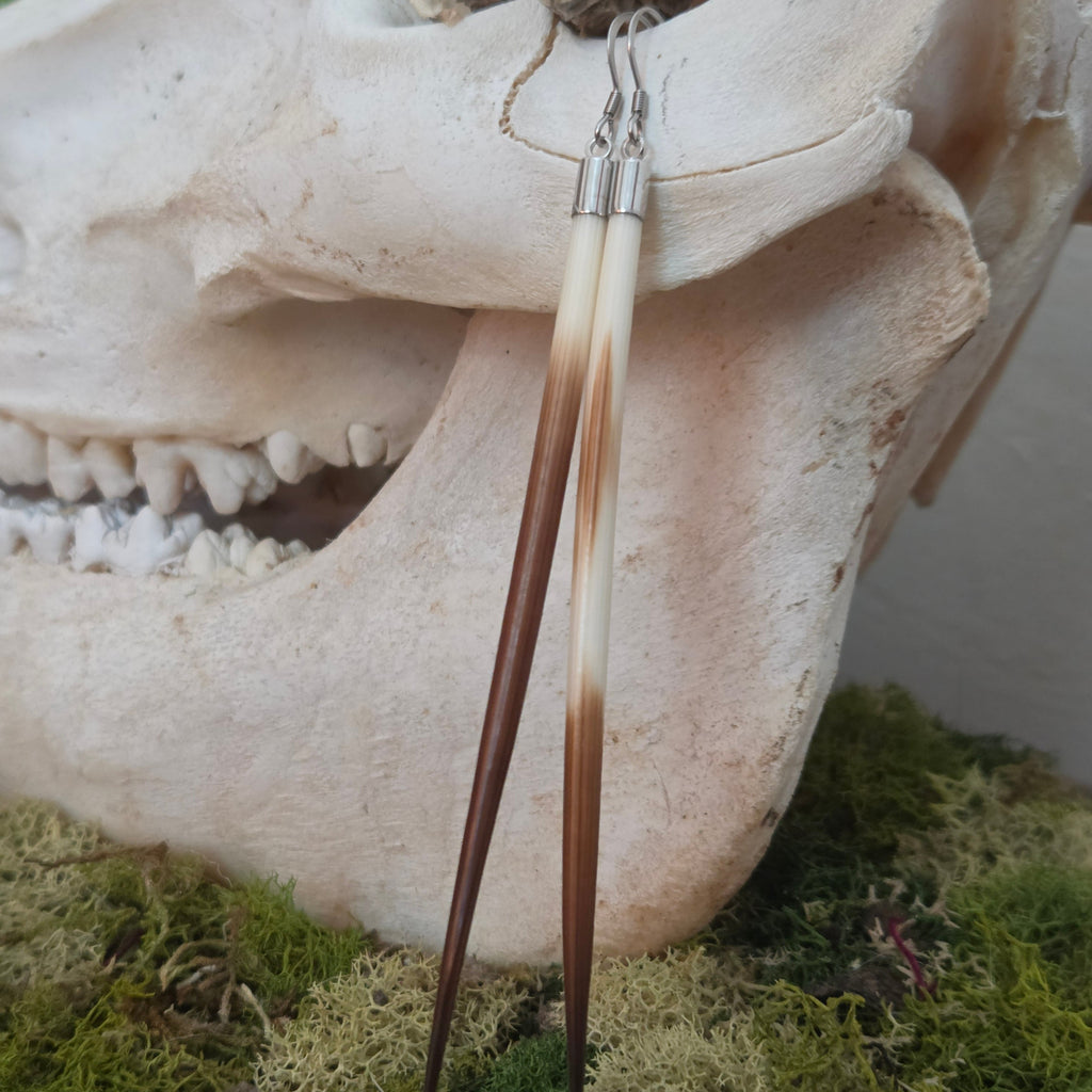 Silver Hook Porcupine Quill Earrings
