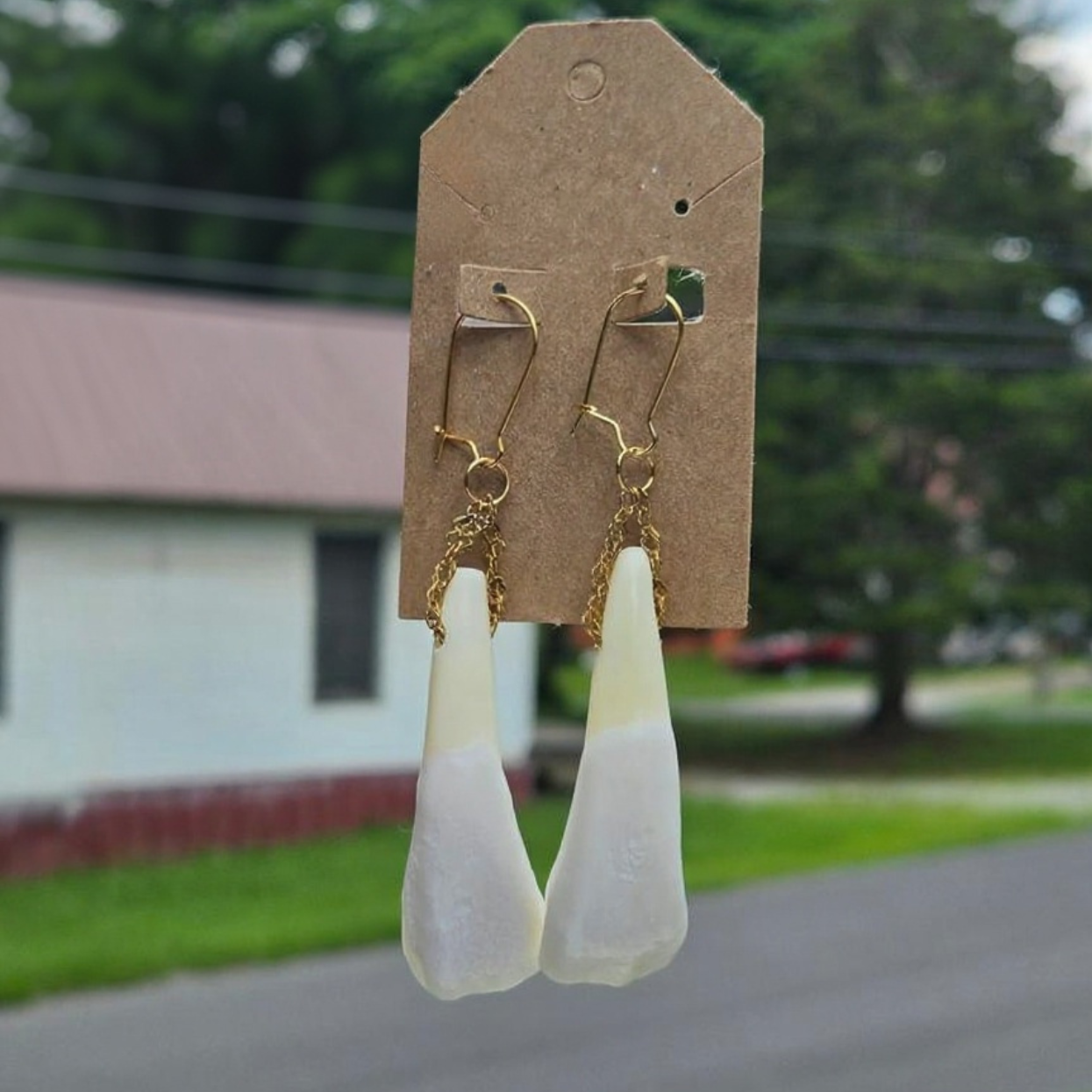 Buffalo Teeth Earrings