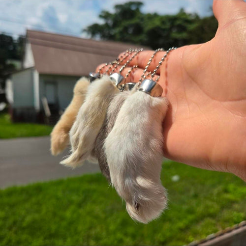 Mystery Bunny Foot