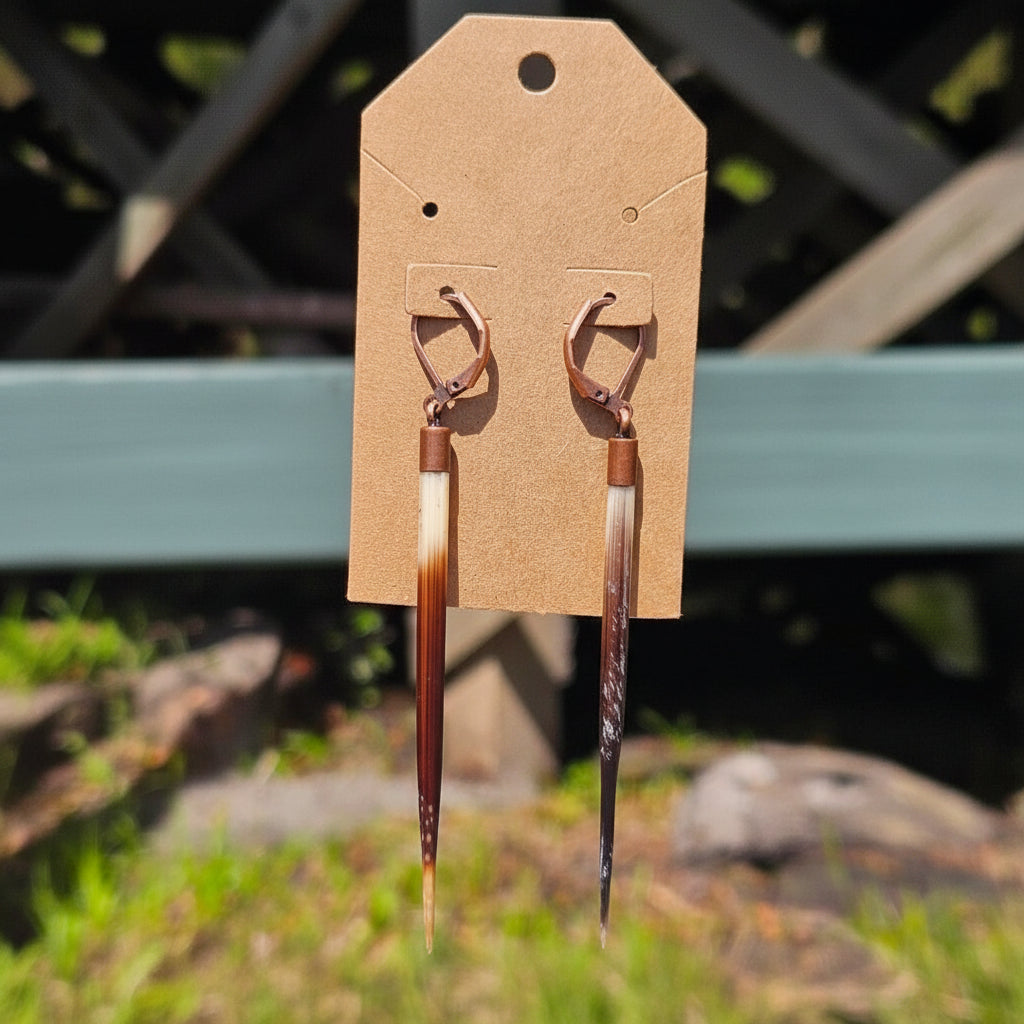 Gauge Friendly Porcupine Quill Earrings
