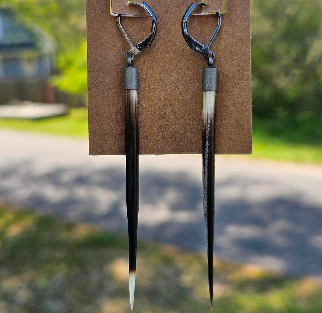 Gauge Friendly Porcupine Quill Earrings