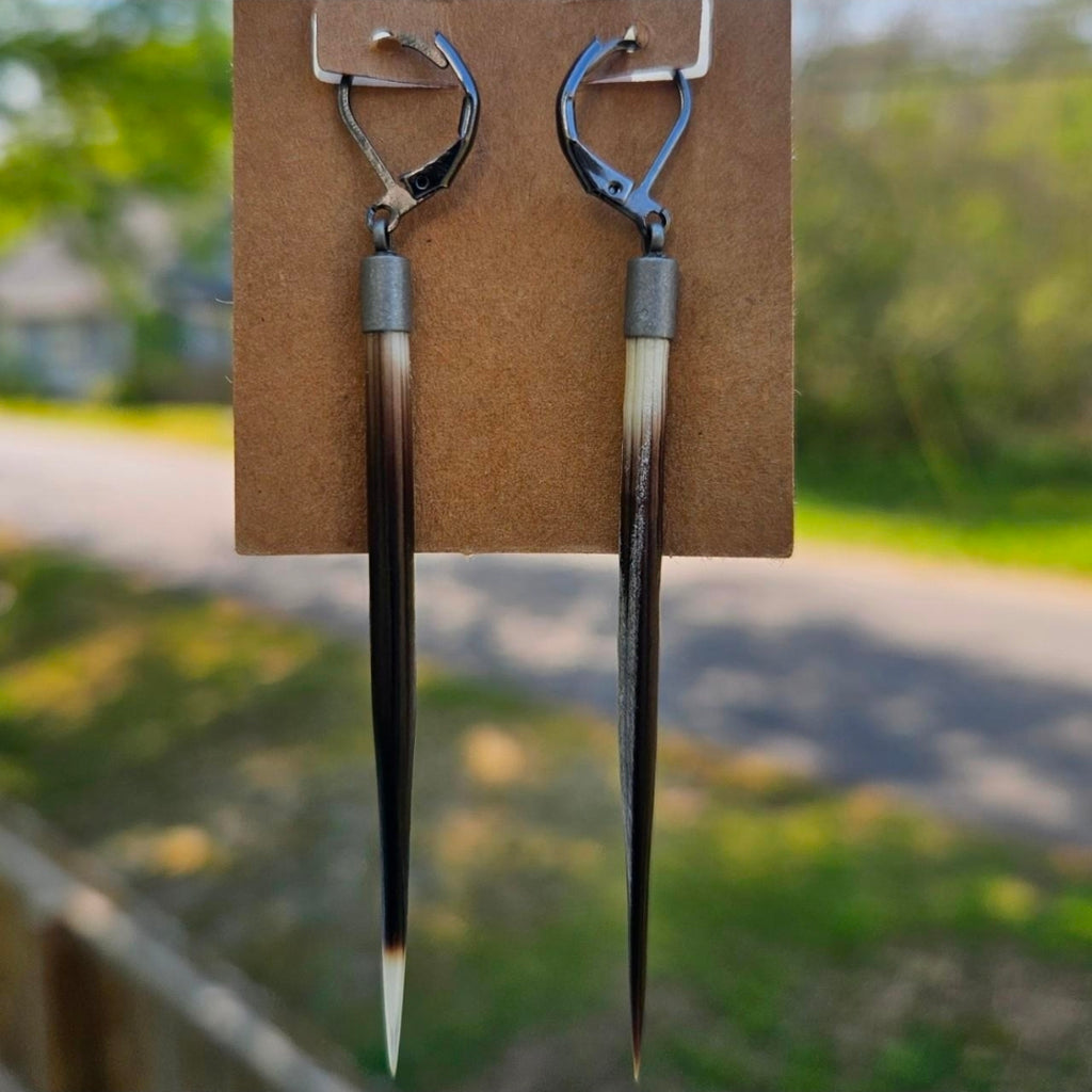Gauge Friendly Porcupine Quill Earrings