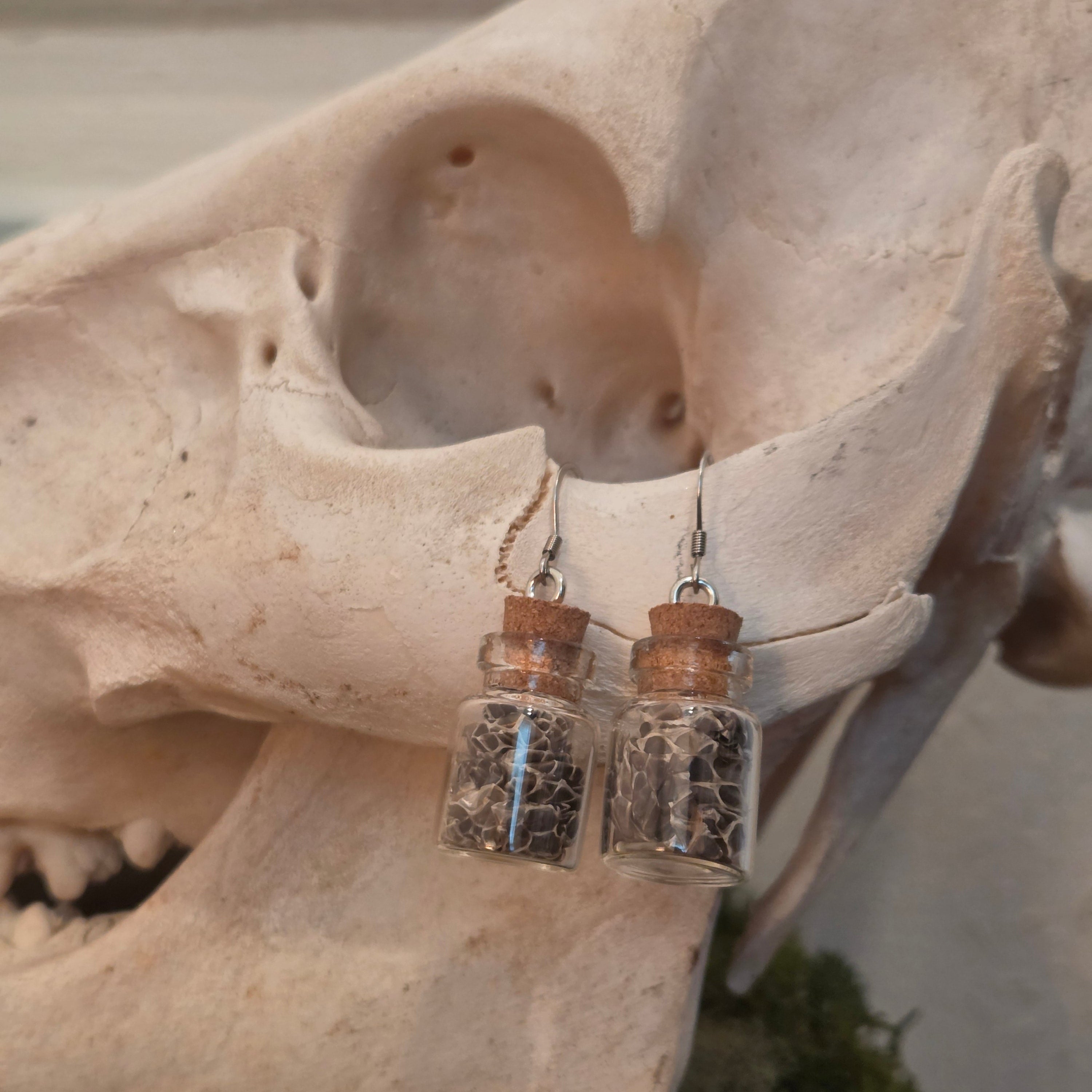 Snake Jar Earrings