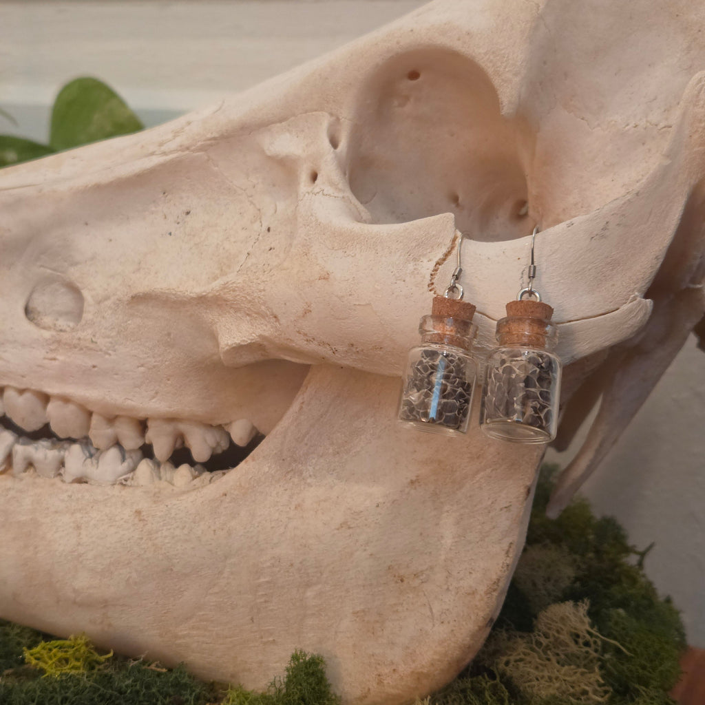 Snake Jar Earrings