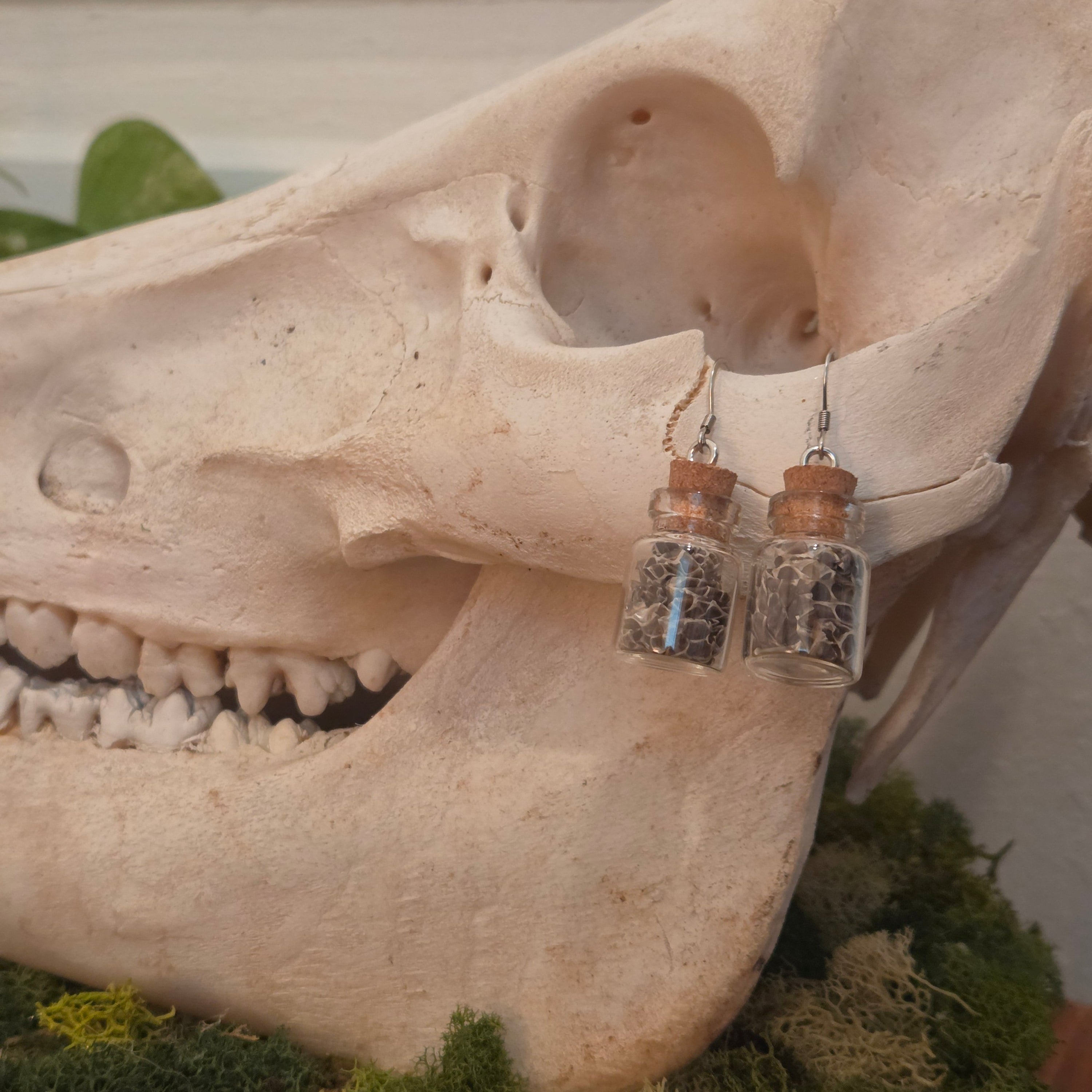 Snake Jar Earrings