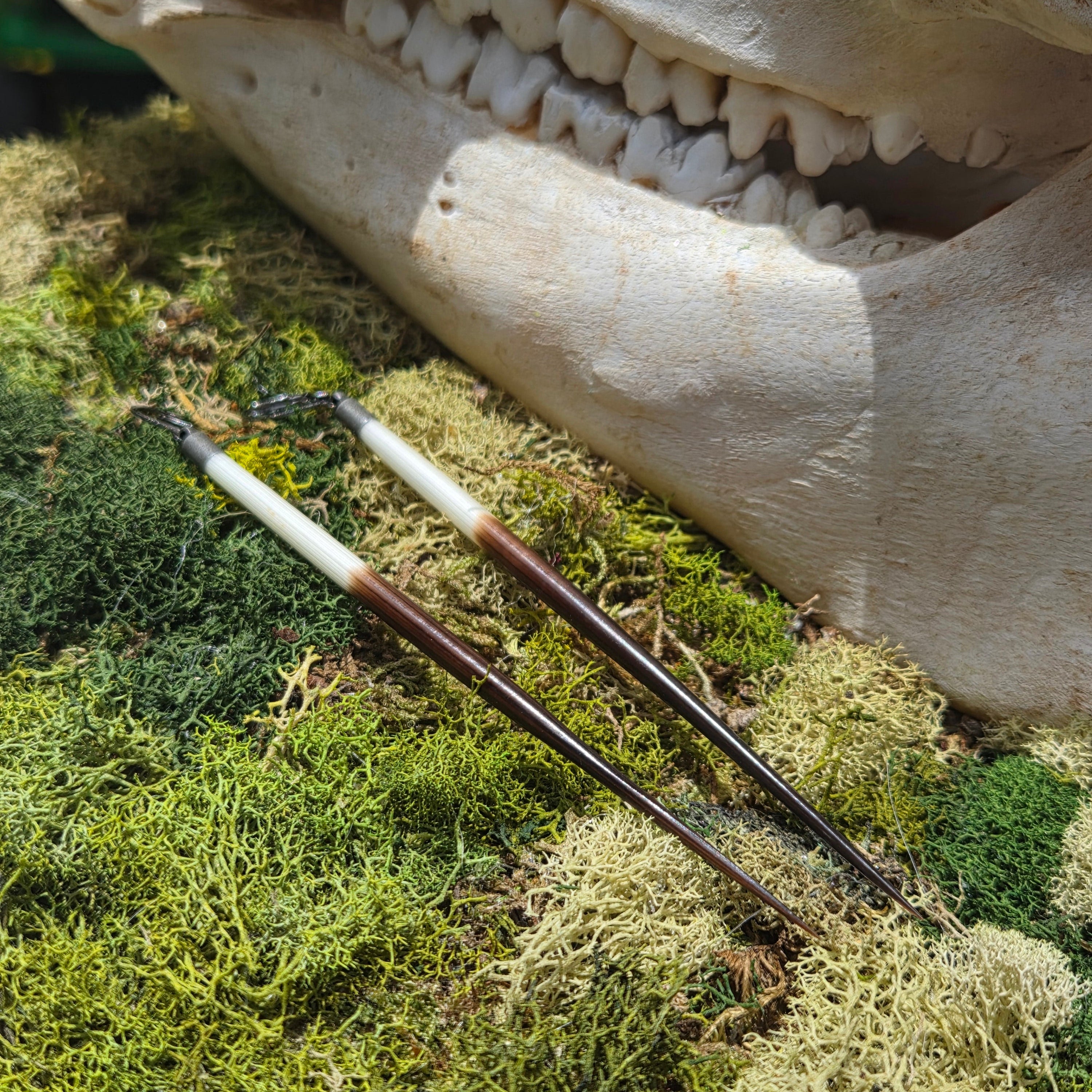 Gauge Friendly Porcupine Quill Earrings